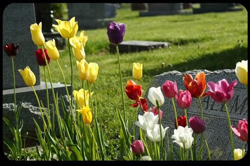 web-grave-flowers-Valerie Everett-cc &#8211; pt
