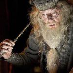 Fã de Harry Potter faz Penseira para sua noiva com suas lembranças