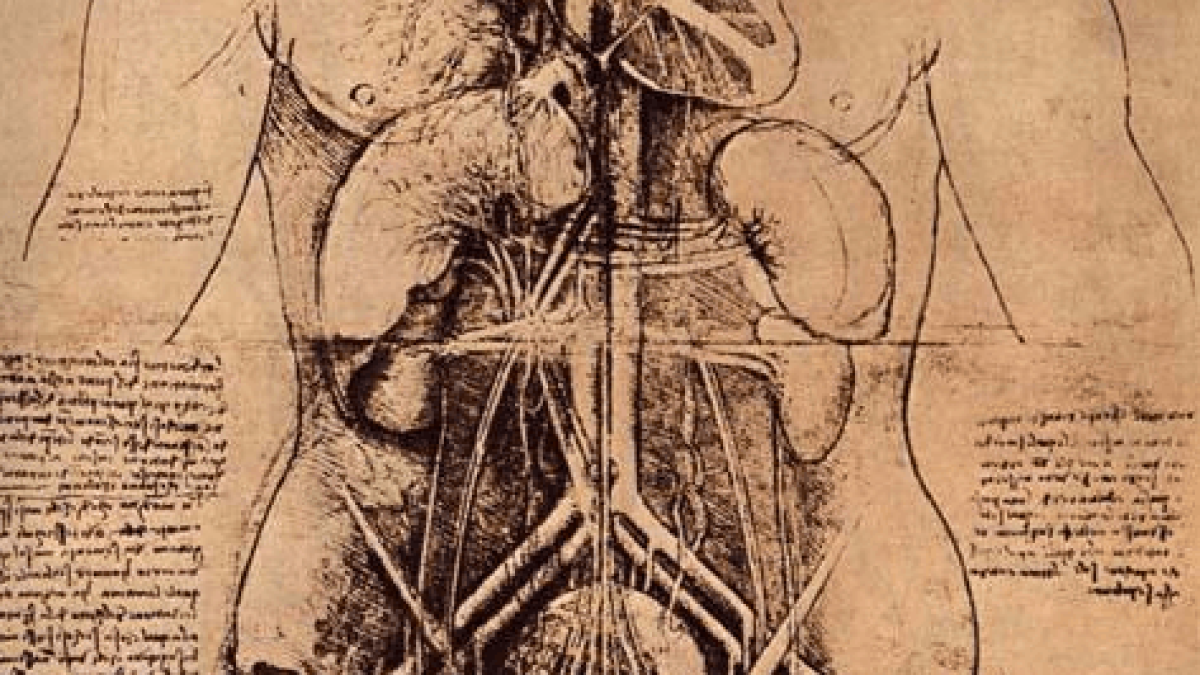 aparelho-digestivo-da-vinci
