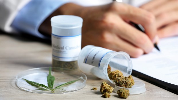 cannabis