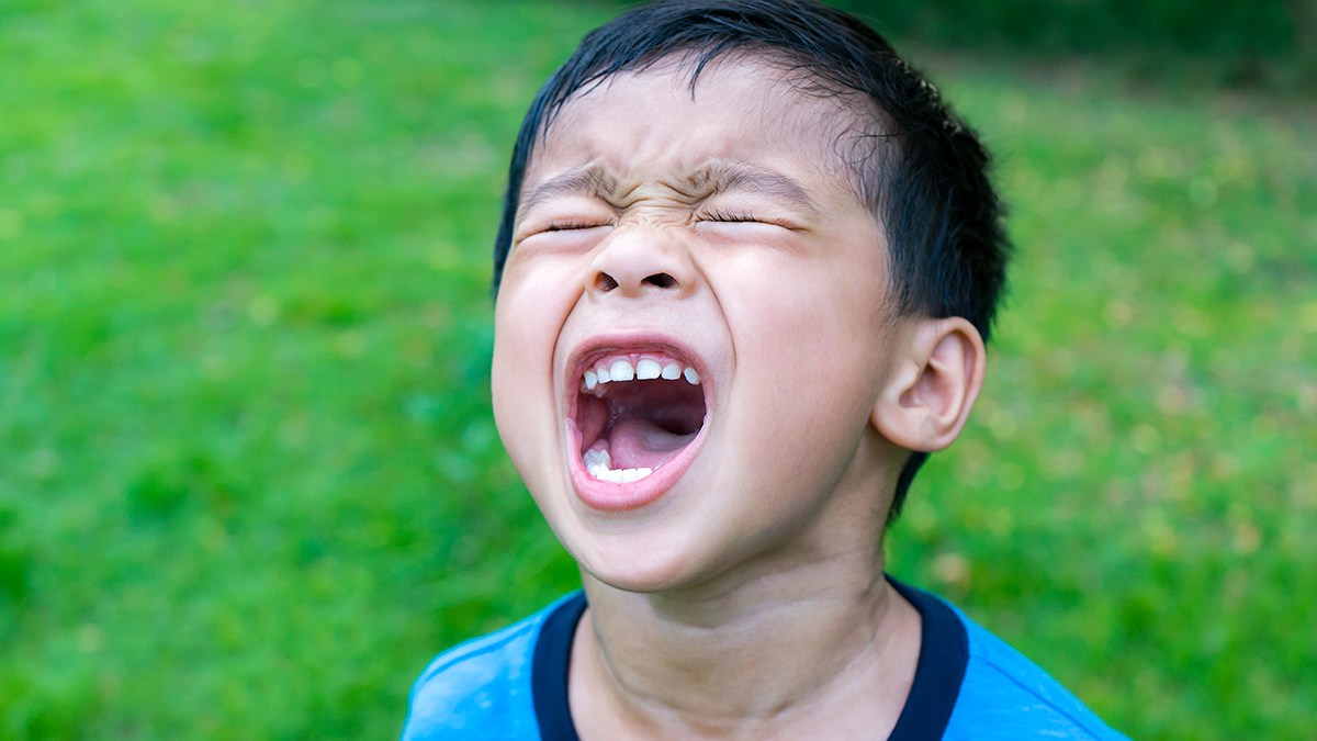 web-young-boy-tantrum-yelling-screaming-phoompiphat-phoomkaew-shutterstock_516845056