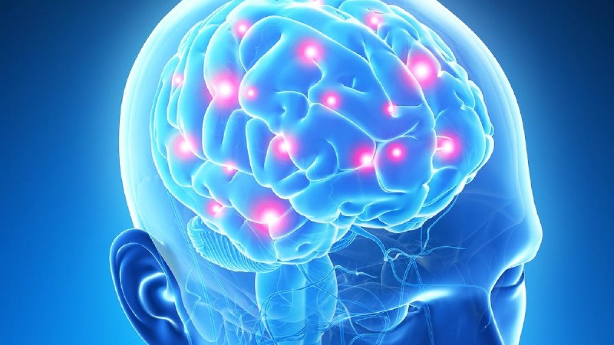 cerebro