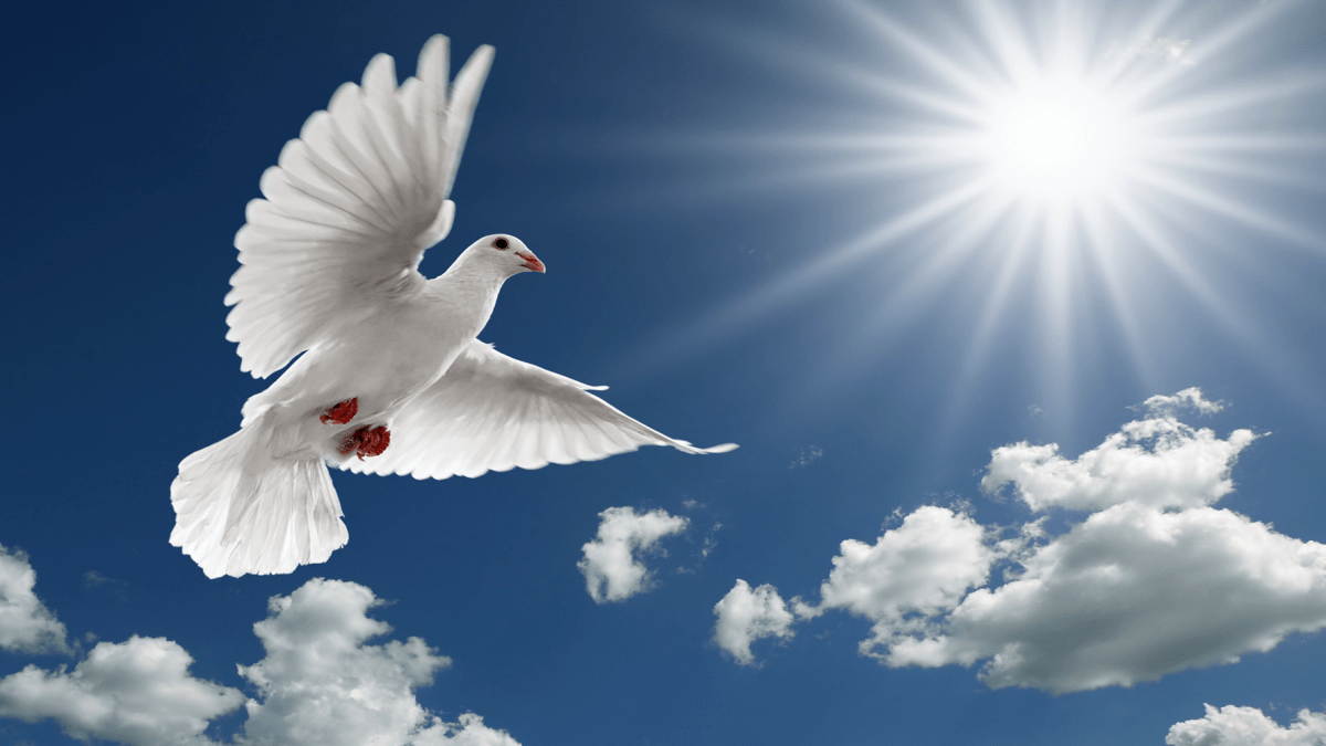holy-spirit