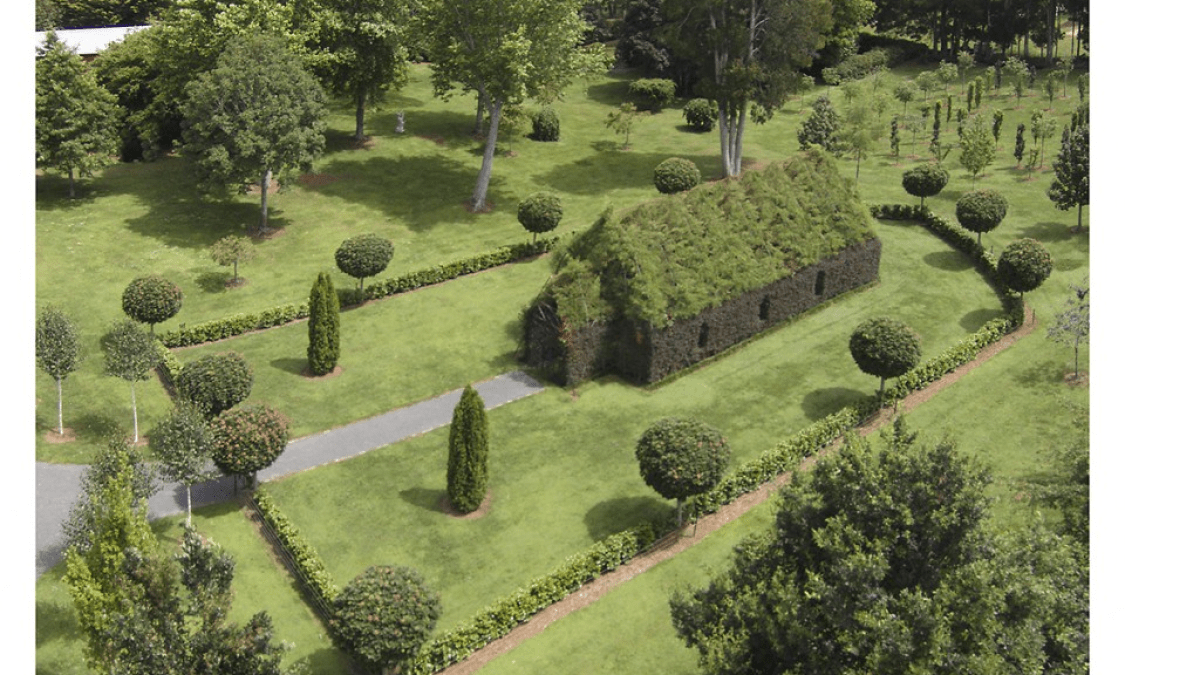 tree church