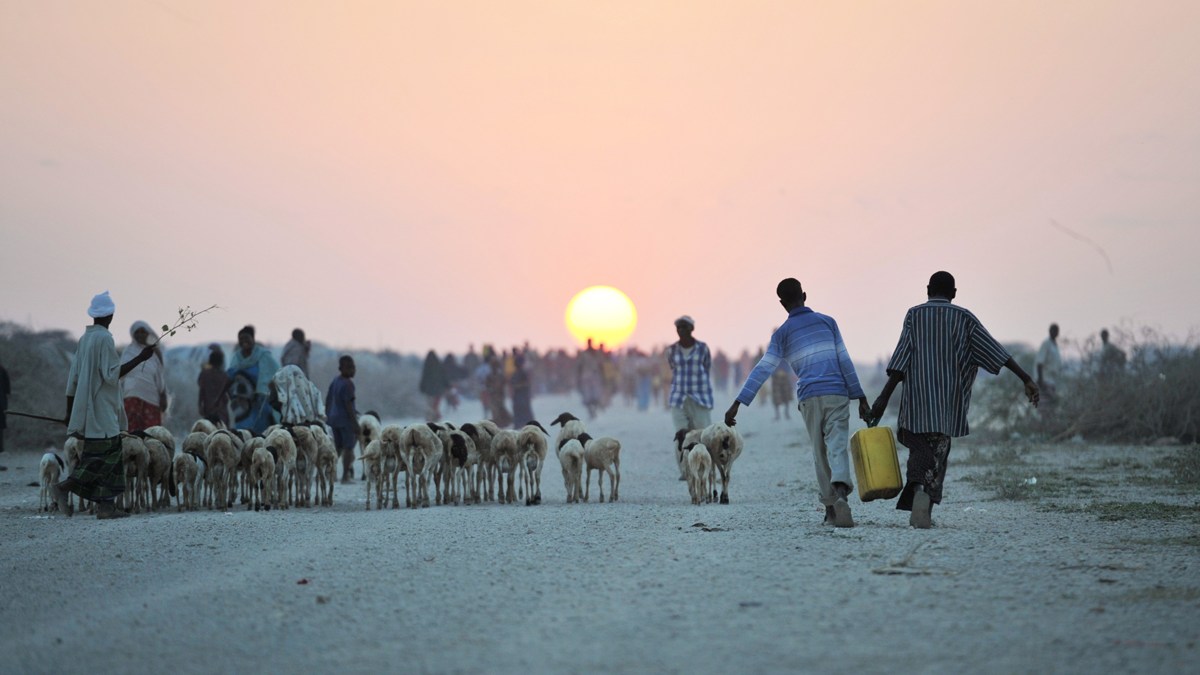 Jowhar IDP Camp in Somalia