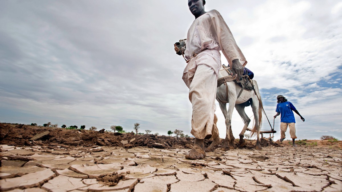 Farming in the rainy season