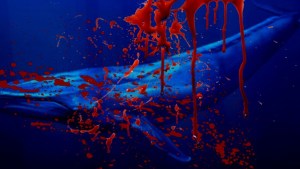 baleia azul