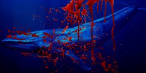 Desafio da Baleia Azul: mais um fruto podre colhido pela cultura da morte