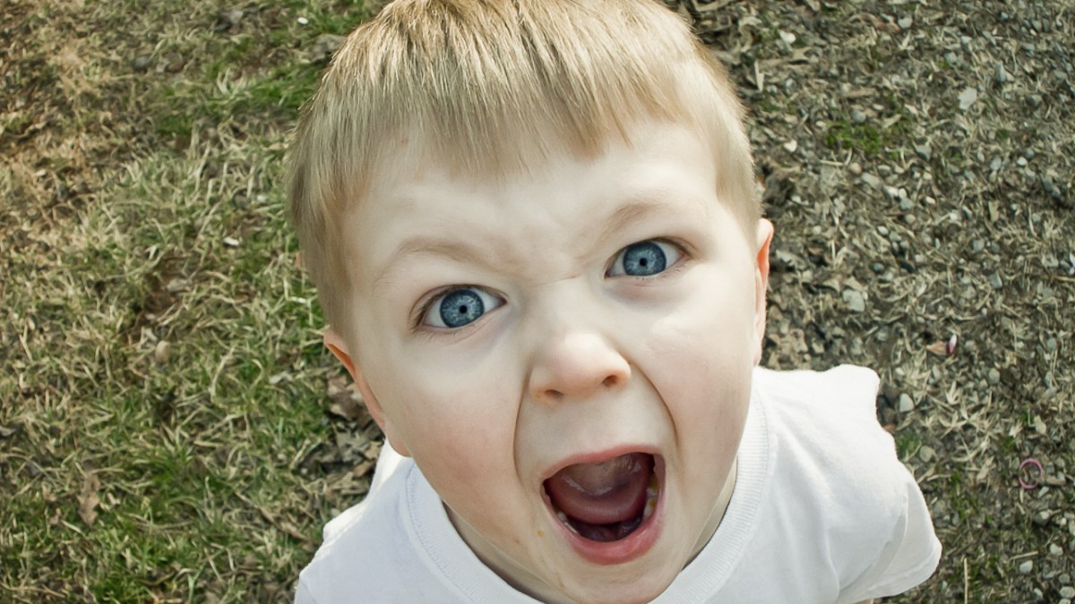 WEB-SHOCKED-SCREAM-CHILD-BOY-Aaron-Gilson-CC