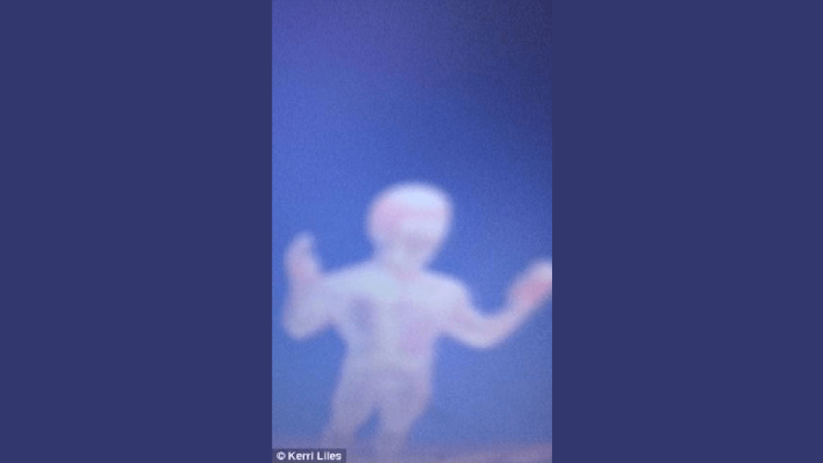 anjo da guarda foto