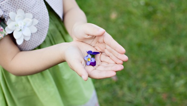 HANDS,FLOWER