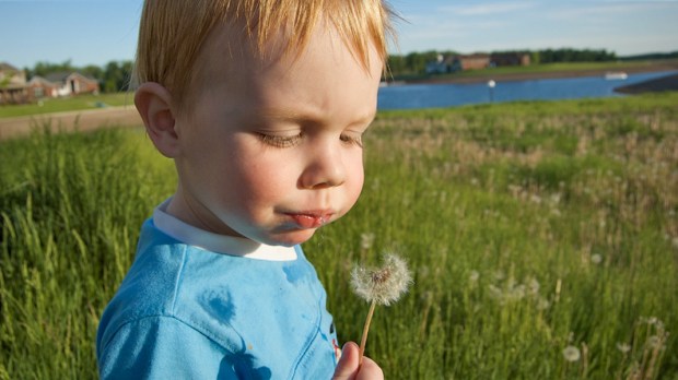 WEB3-CHILD-BOY-BLOWING-FLOWERS-DANDELIONS-FIELD-GRASS-NATURE-Bisongirl-Flickr