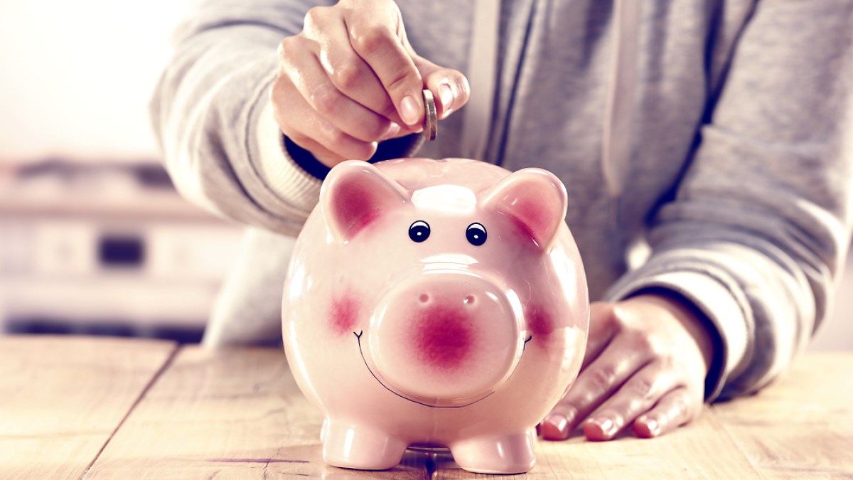 WEB3 PIGGY BANK MONEY COINS CHANGE SAVING SAVINGS ACCOUNT MAN HAND Shutterstock