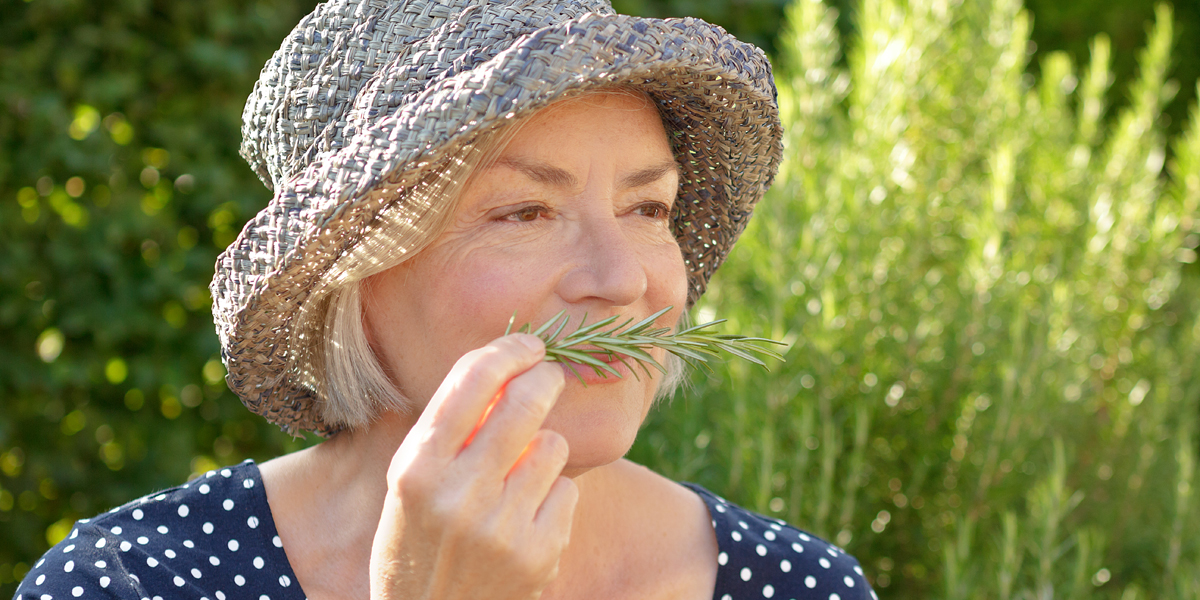 WEB3 WOMAN SMELLING ROSEMARY GARDEN HAT ELDERLY Shutterstock