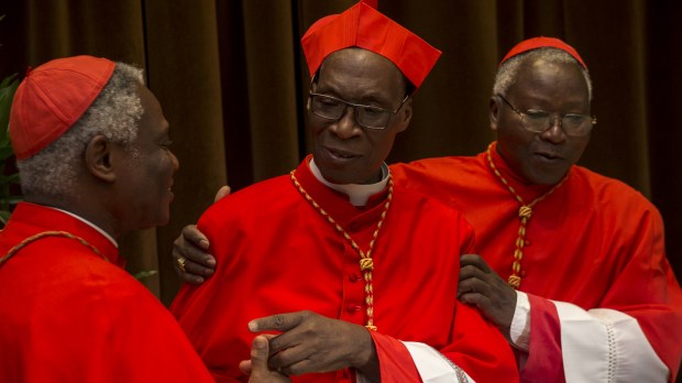 Newly elevated cardinal, Jean Zerbo from Mali