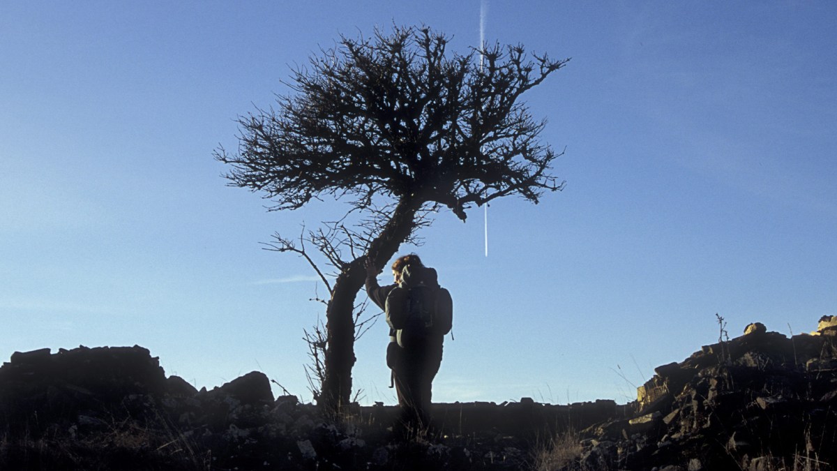 web spain leon pilgrimage walk man ©Sylvie DUVERNEUIL:CIRIC