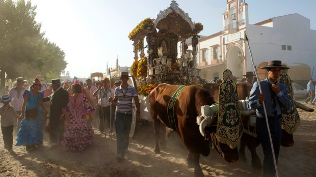 web3-photo-of-the-el-rocio-day-024_484063-mattes-rene-hemis-afp