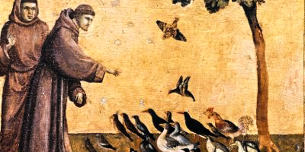 WEB3 SAINT FRANCIS BIRDS GIOTTO Public Domain