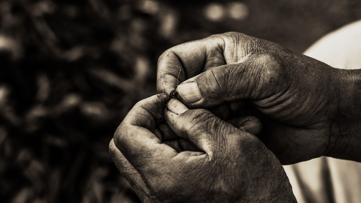 hands