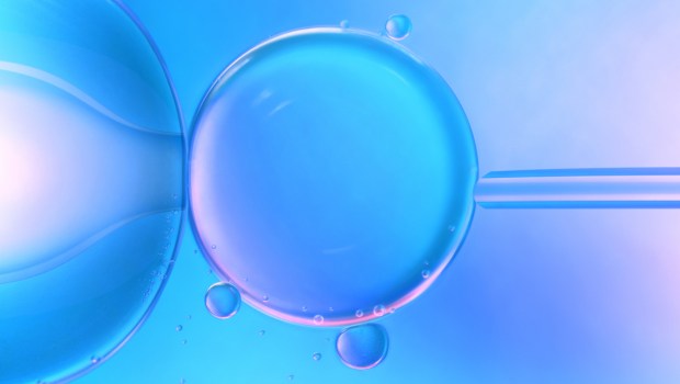 IN VITRO FERTILISATION