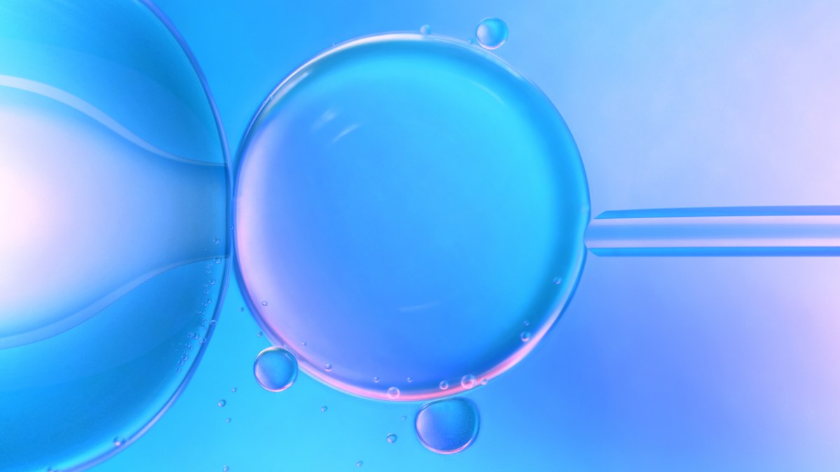 IN VITRO FERTILISATION