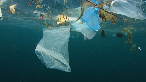 POLLUTION