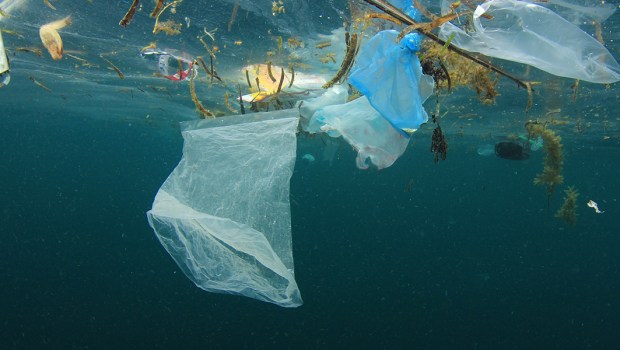 POLLUTION