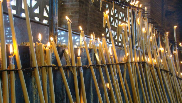 aparecida