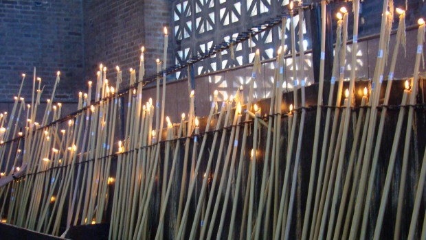 aparecida