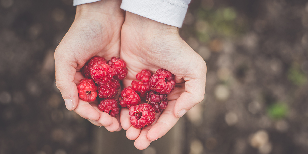 RASPBERRIES