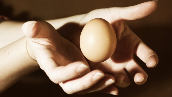 EGG
