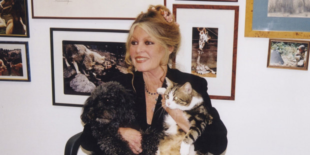 web3-brigitte-bardot-actriz-model-animals-fundaciocc81n-brigitte-bardot