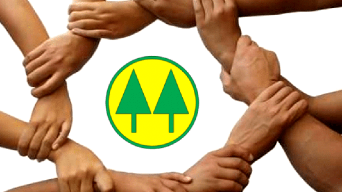 cooperativismo