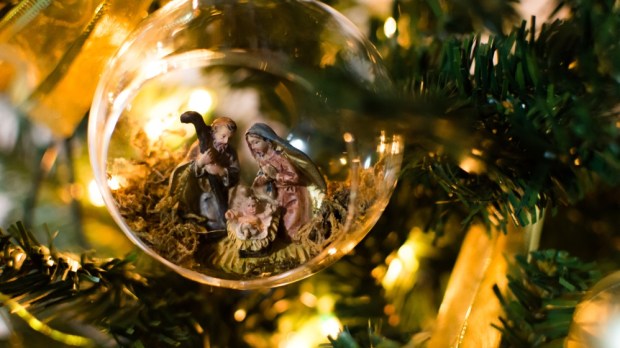 WEB3-CRECHE-CHRISTMAS-JESUS-TREE-Shutterstock