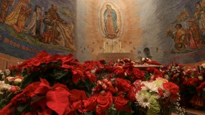 POINSETTIAS,CHRISTMAS,ALTAR