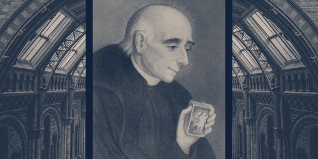 VINCENT-PALLOTT