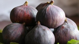 FIGS