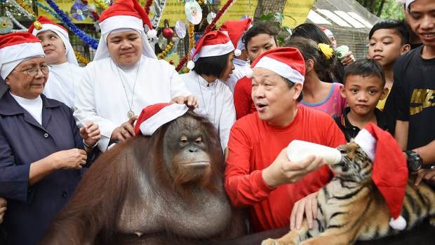 ZOO,ORPHANAGE,CHRISTMAS