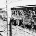 O companheiro de Maximiliano Kolbe que foi um farol em Auschwitz