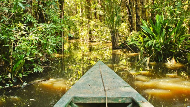 AMAZONIA