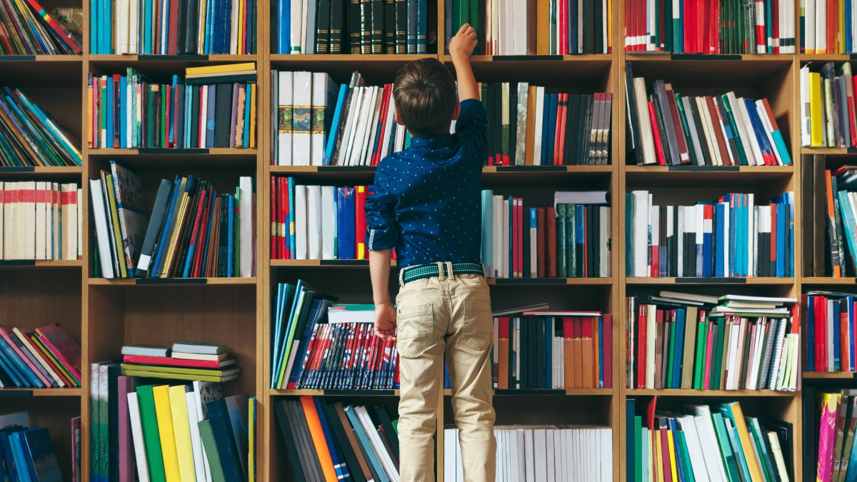 BOY LIBRARY