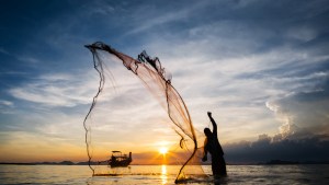 FISHERMAN, WEB, SUNSET