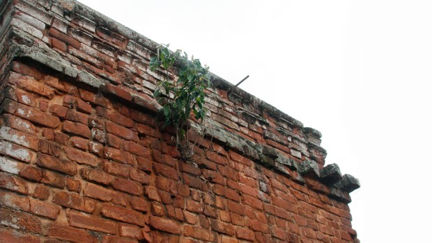 MISIONES