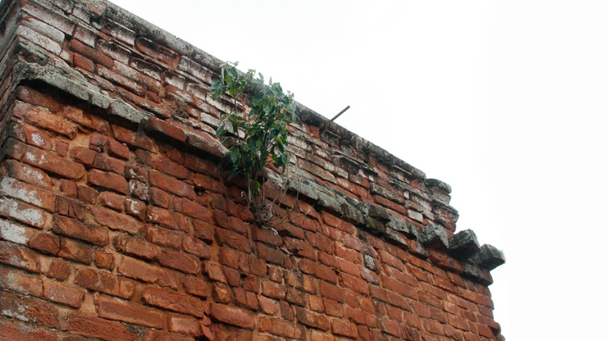 MISIONES
