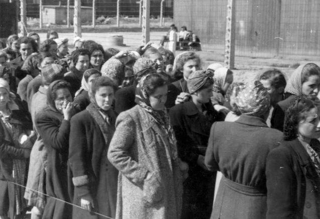 AUSCHWITZ, OBÓZ