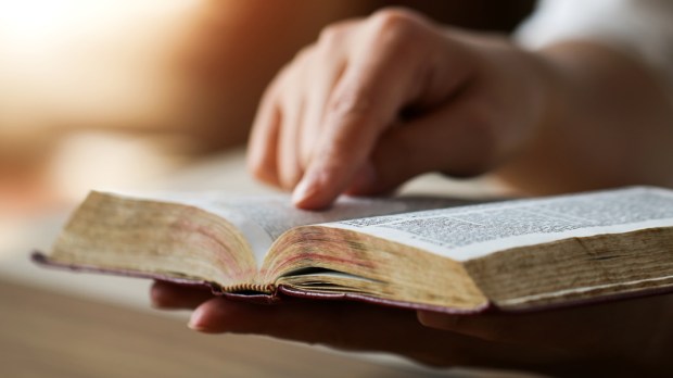 WOMAN,READING,SCRIPTURE