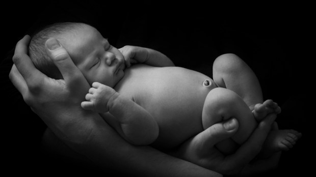 NEWBORN