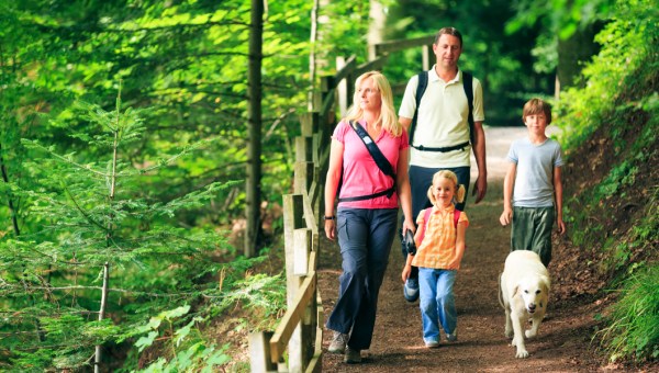 FAMILY,HIKE