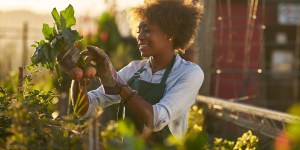 Pesquisas comprovam: hobbies como a jardinagem são benéficos à saúde
