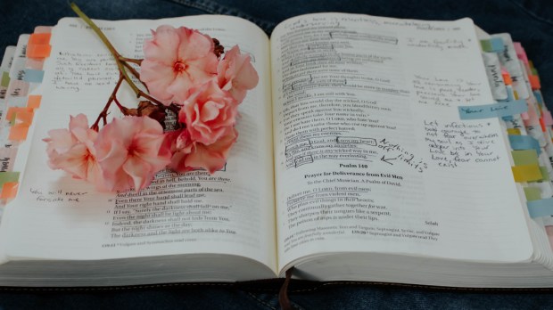 web3-bible-flower-quote-sad-rachel-lynette-french-unsplash-cc0